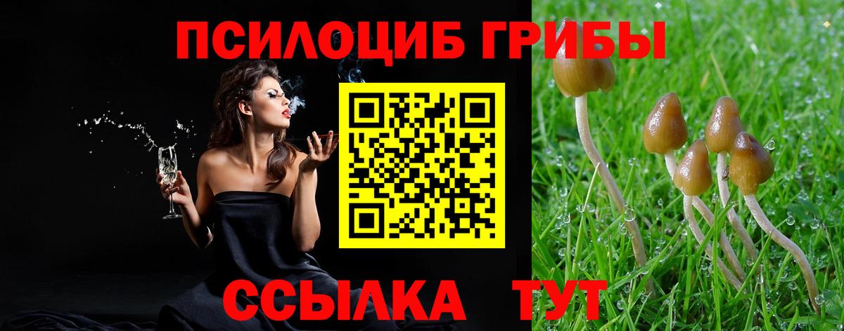 Псилоцибиновые грибы Magic Shrooms  Галлюциногенные грибы ЛСД  Видное  Вход с VPN 